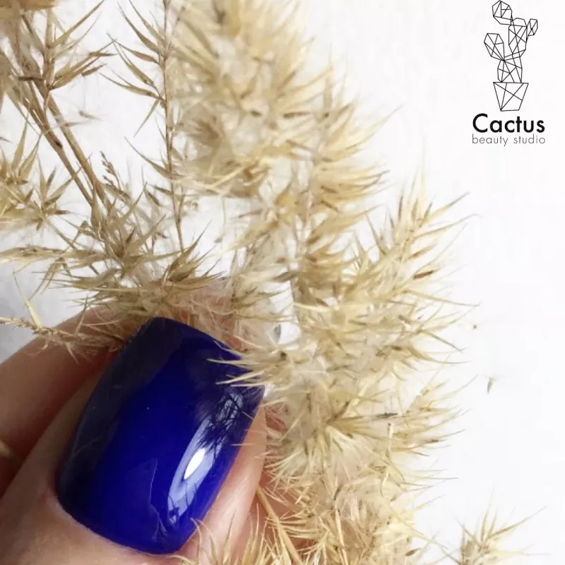 Cactus beauty studio фото 1
