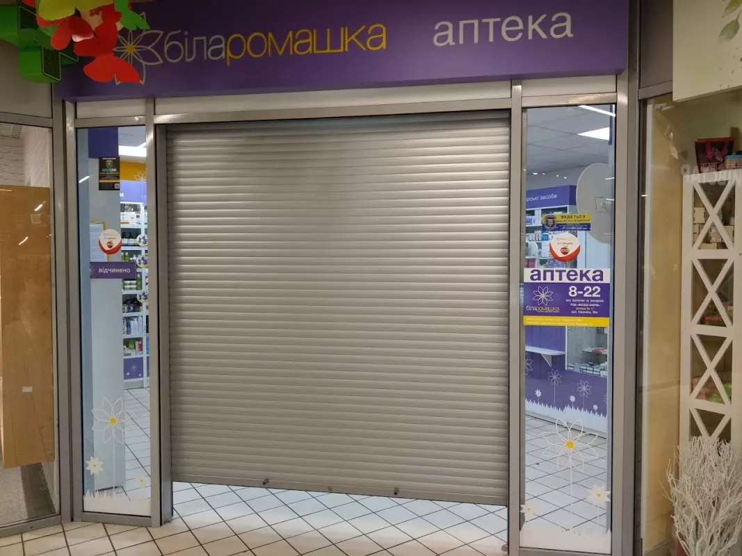 Біла ромашка фото 1