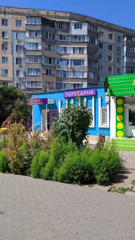 ПАВАНА ПЕРУКАРНЯ фото 1