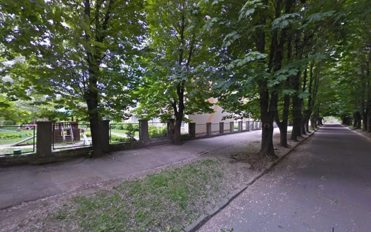Лотос фото 1