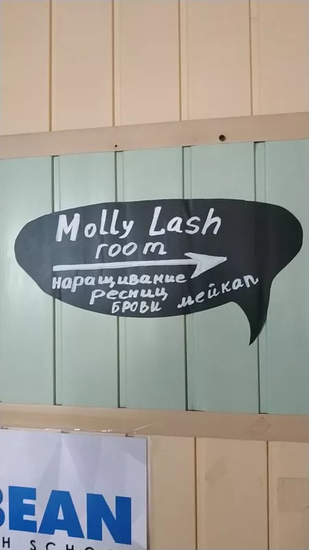 MOLLY LASH & BROW фото 1