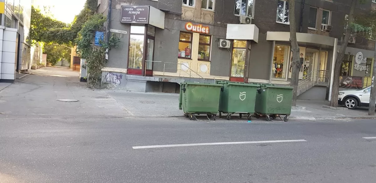 АСТЕРА фото 1