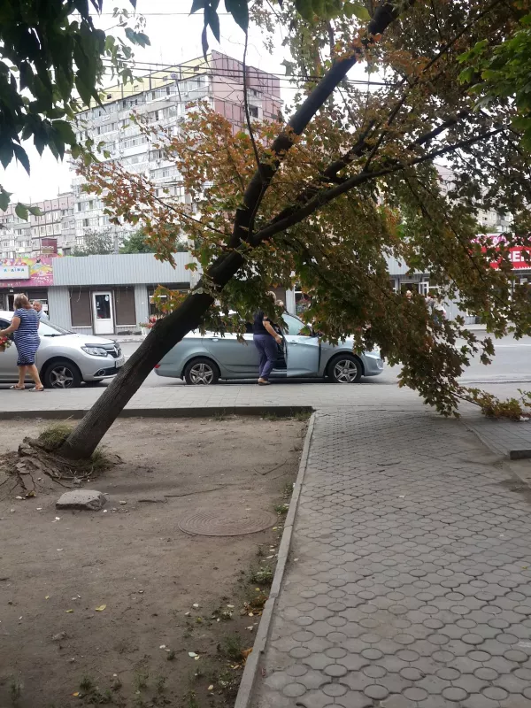 САЛОН ГРАЦІЯ фото 1