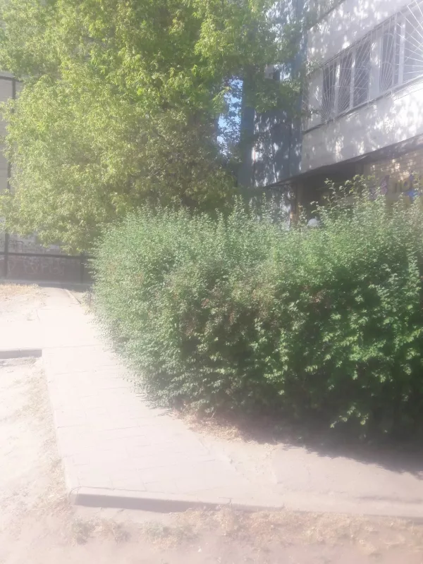 Посольство краси фото 1