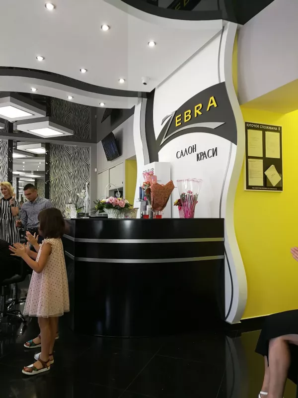 Зебра фото 1