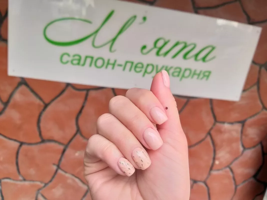 М'ята фото 1