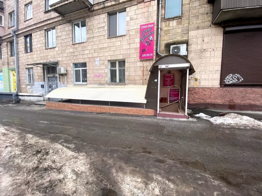 Роза б'янка фото 1