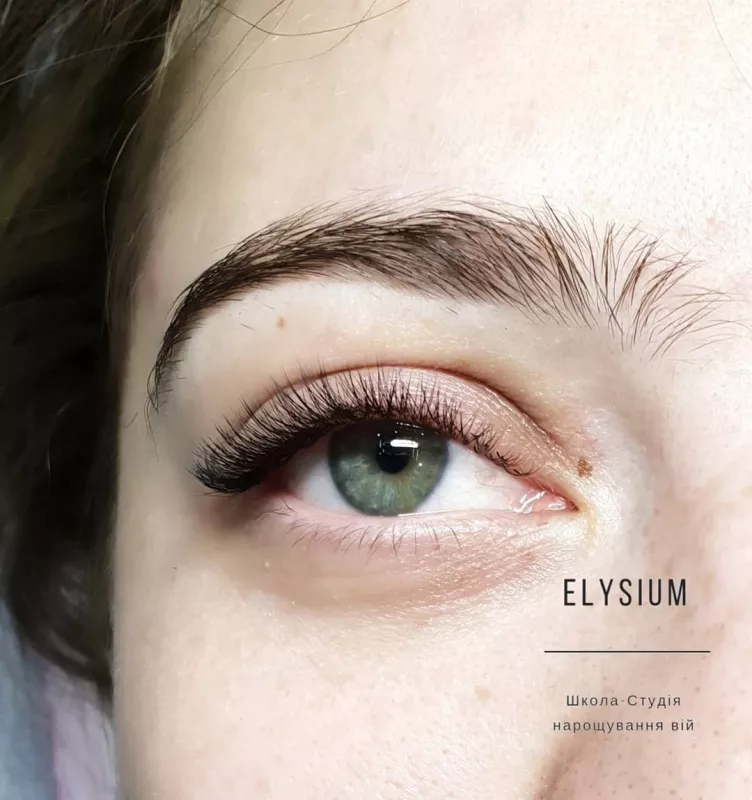 ELYSIUM фото 1